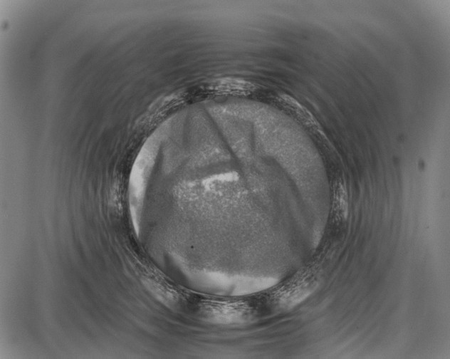 X0000087050663200705091137