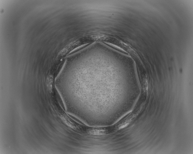 X0000087050664200705091137