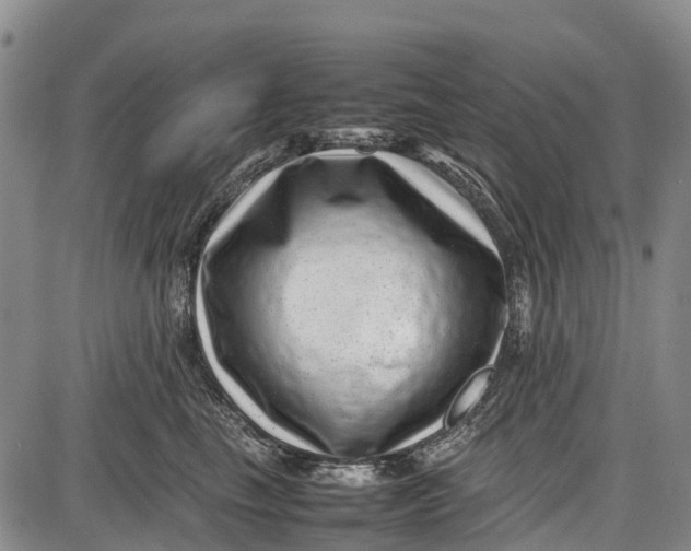 X0000087050665200705091137