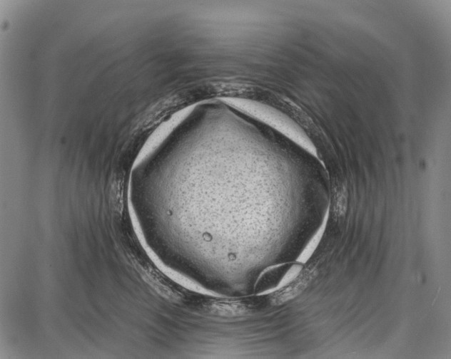 X0000087050666200705091137