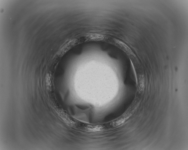 X0000087050667200705091137