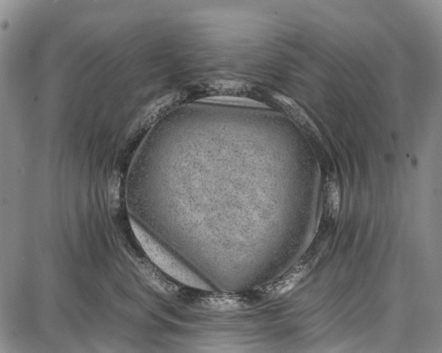 X0000087050668200705091137