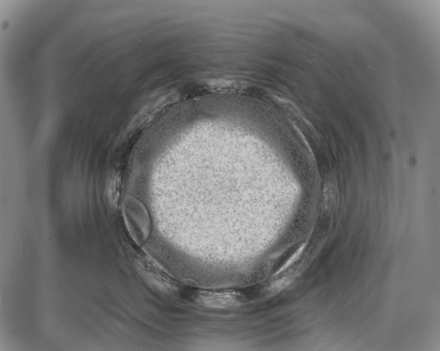 X0000087050671200705091137