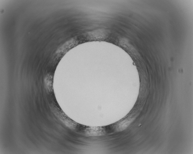 X0000087050672200705091137