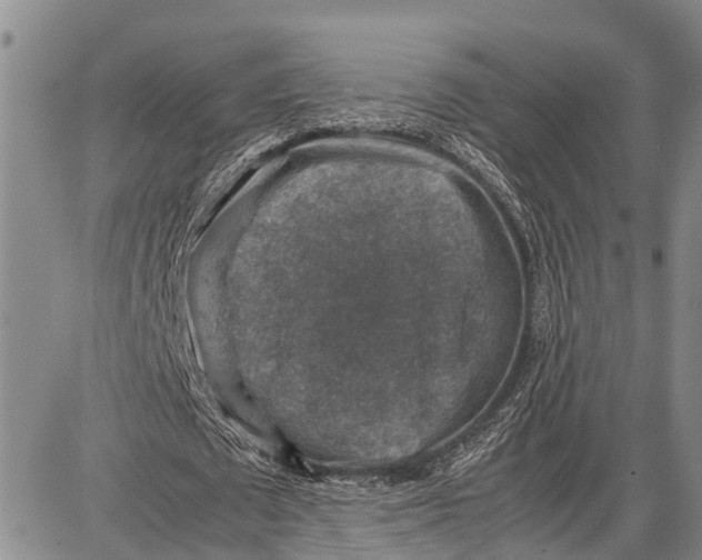 X0000087050673200705091136