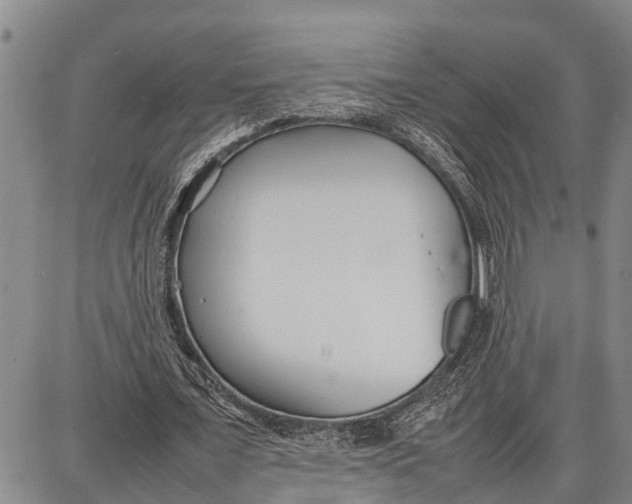 X0000087050675200705091136