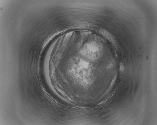 X0000087050676200705091136