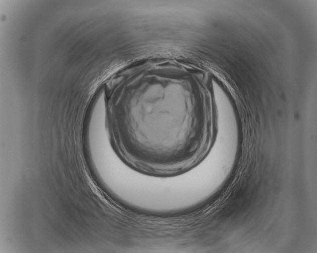 X0000087050677200705091136