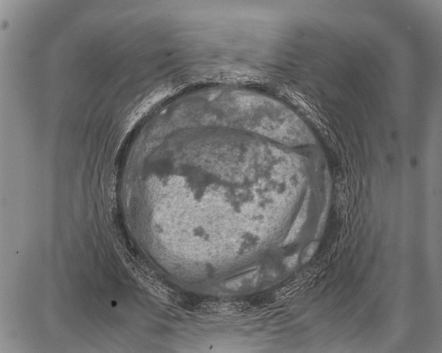 X0000087050679200705091136