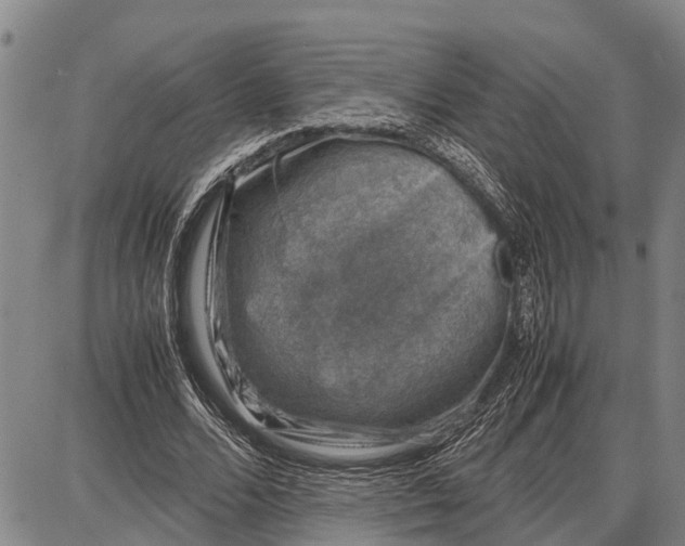 X0000087050680200705091136