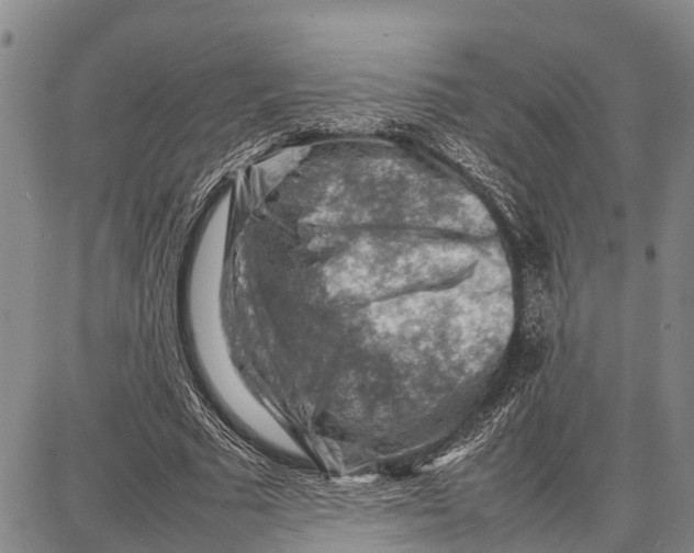 X0000087050681200705091136