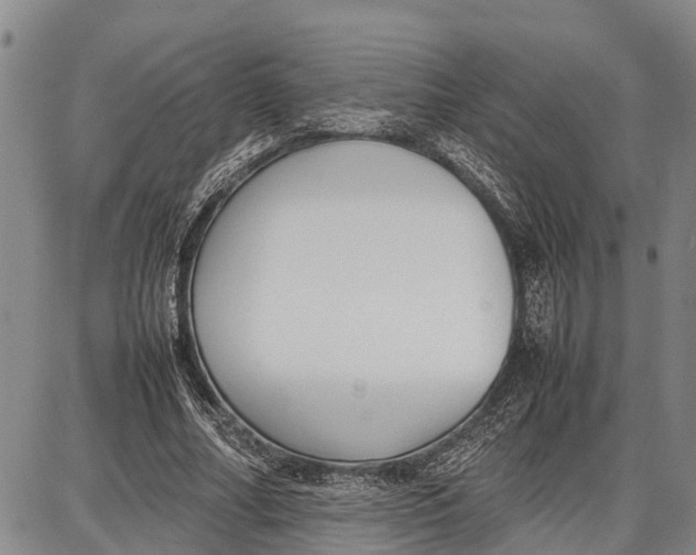 X0000087050682200705091136