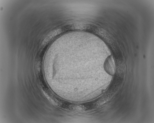 X0000087050683200705091136