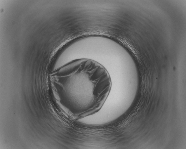 X0000087050684200705091136