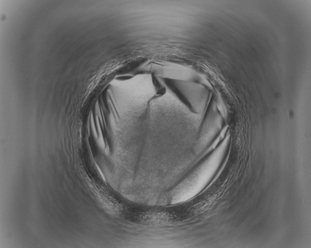 X0000087050685200705091136