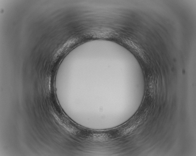 X0000087050686200705091136