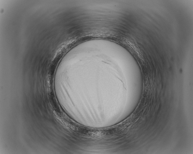 X0000087050688200705091136