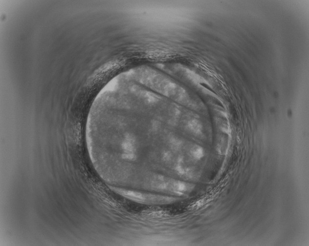 X0000087050689200705091136