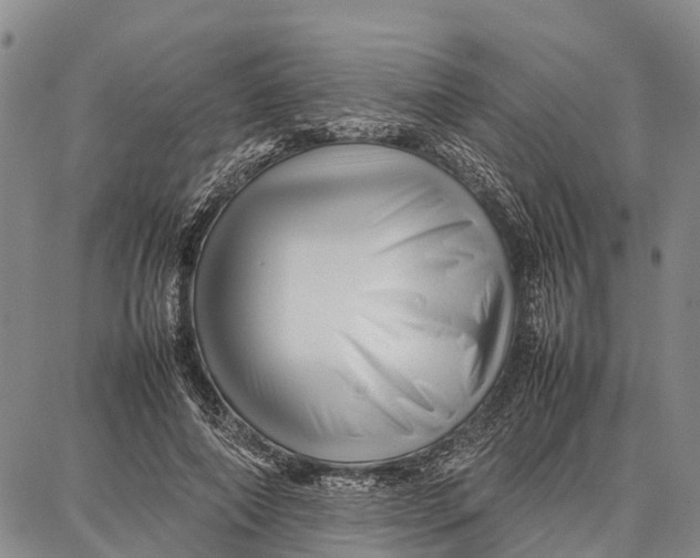 X0000087050690200705091136