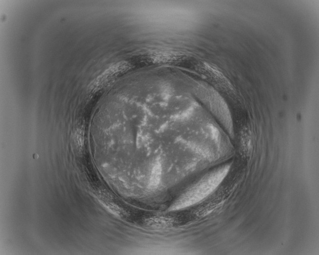 X0000087050691200705091136