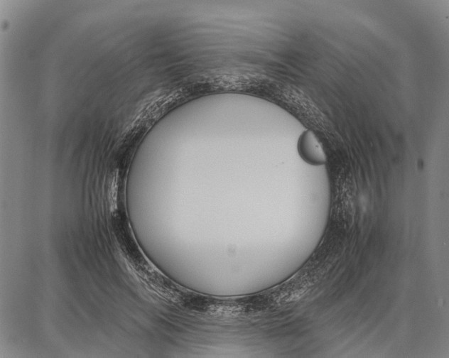 X0000087050694200705091136