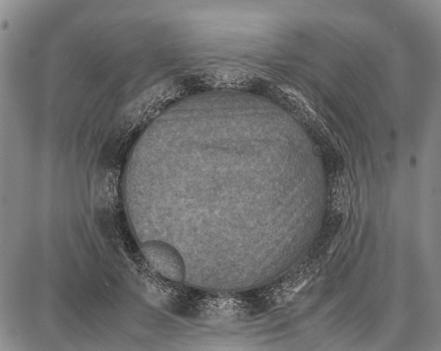 X0000087050695200705091136