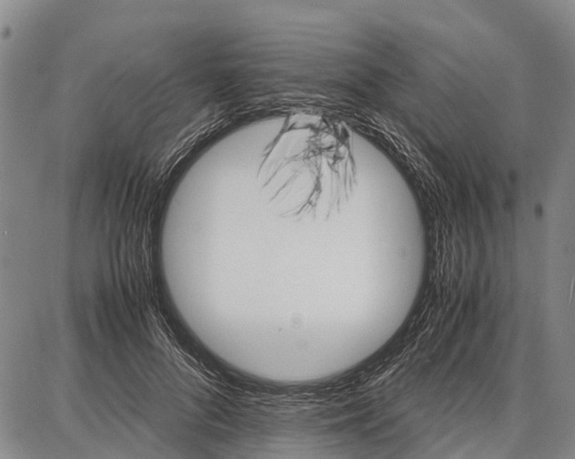 X0000087050696200705091136