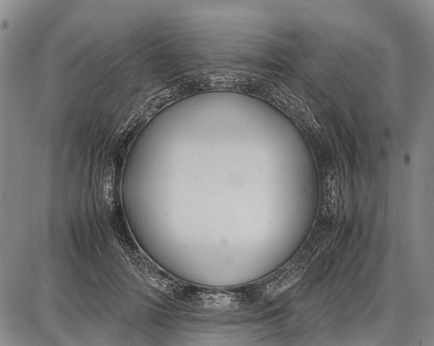 X0000087050698200705091136