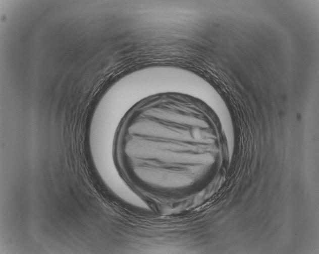 X0000087050699200705091136