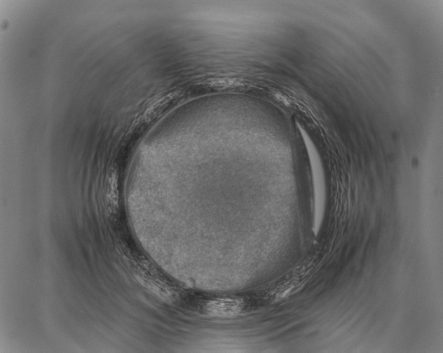 X0000087050700200705091136