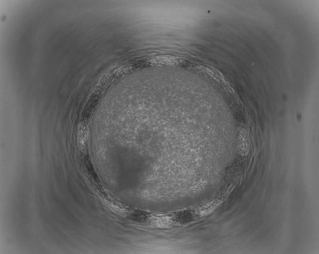 X0000087050701200705091136