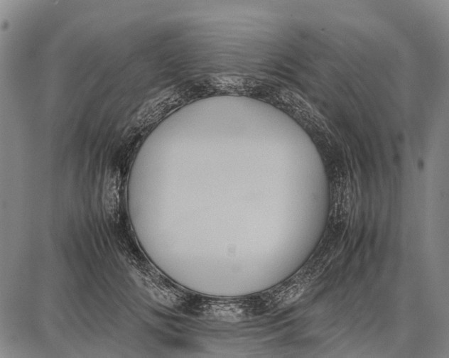 X0000087050702200705091136