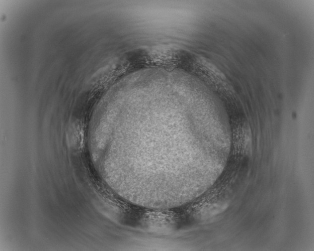 X0000087050703200705091136