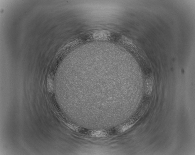 X0000087050705200705091136