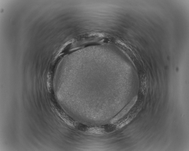 X0000087050708200705091136