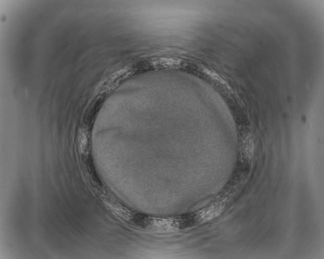 X0000087050709200705091136