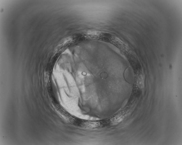 X0000087050711200705091136