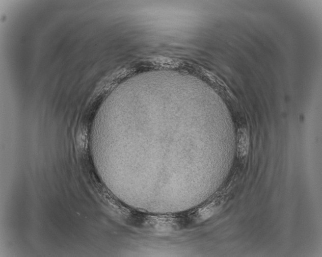 X0000087050713200705091136