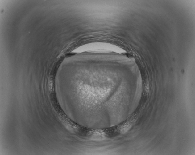 X0000087050715200705091136