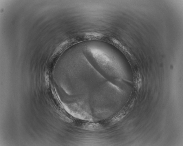 X0000087050716200705091136