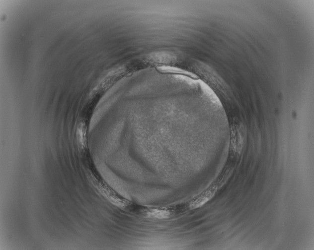 X0000087050718200705091135