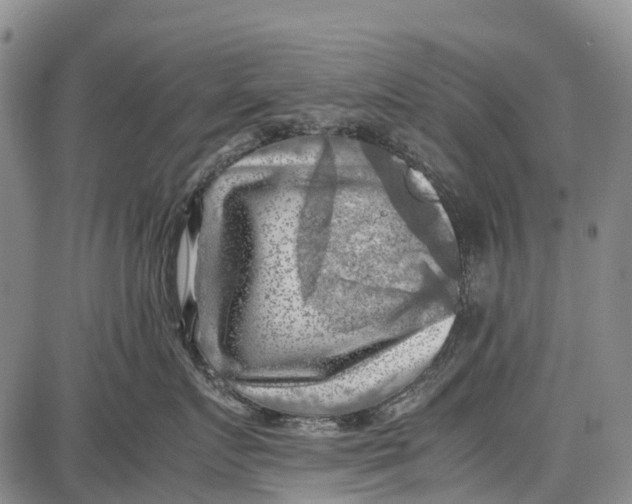 X0000087050719200705091135