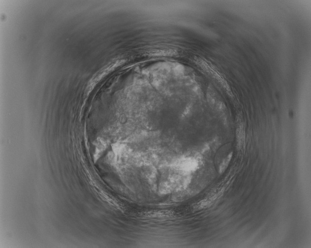 X0000087050721200705091135