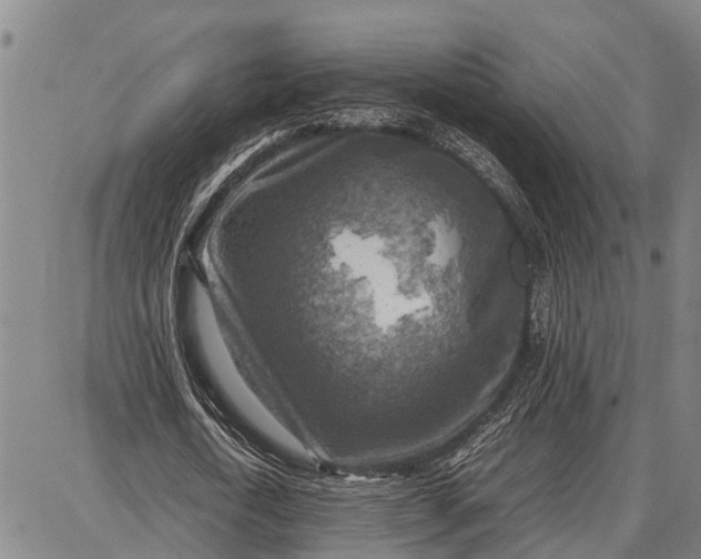 X0000087050722200705091135