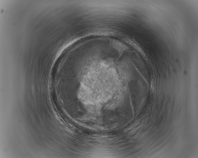 X0000087050724200705091135