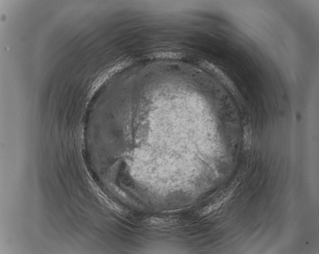 X0000087050725200705091135