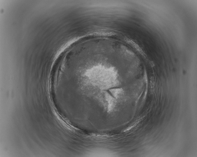 X0000087050726200705091135