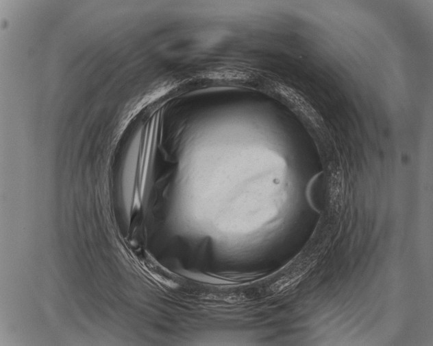 X0000087050727200705091135