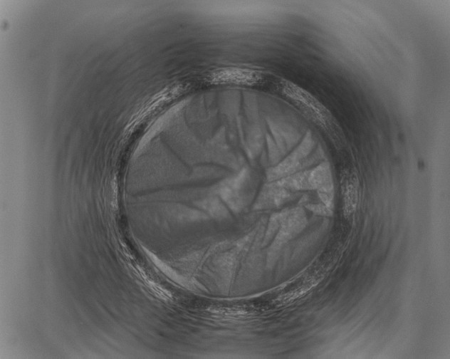 X0000087050729200705091135