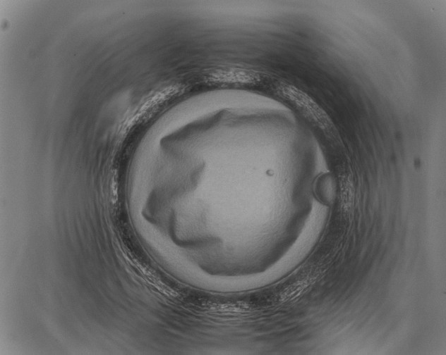 X0000087050731200705091135